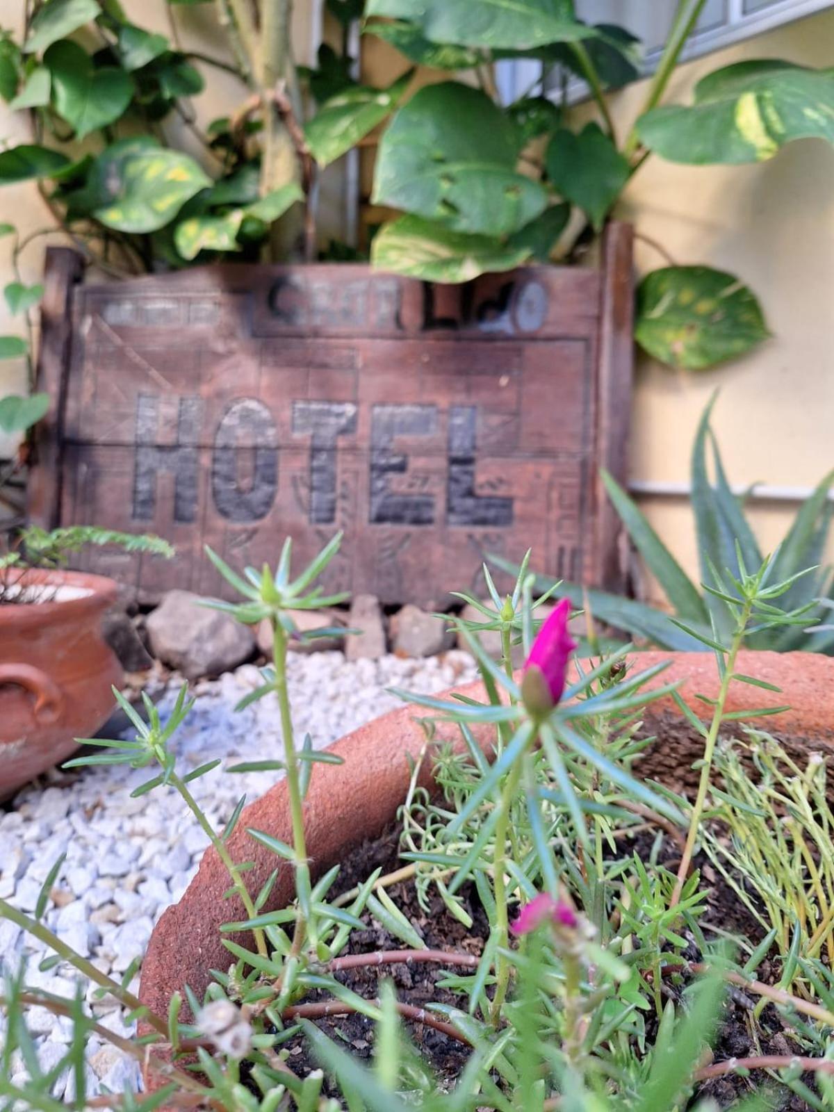 Hotel Gran Lido